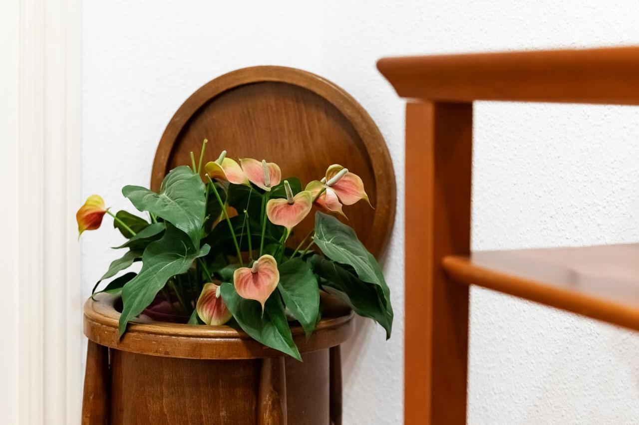 La Picacena Appartement Cuenca  Buitenkant foto